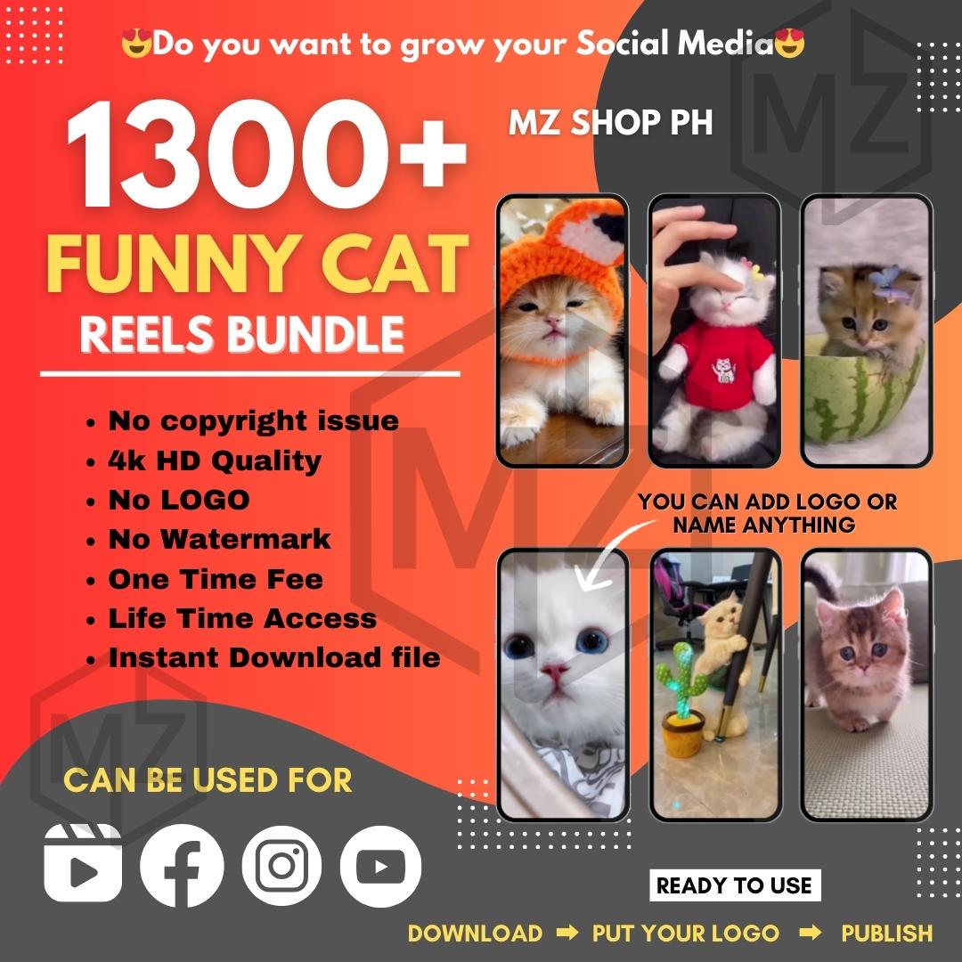 Viral Reels Bundle: Social Media Content, Business, Travel, Gym (Instant Download)