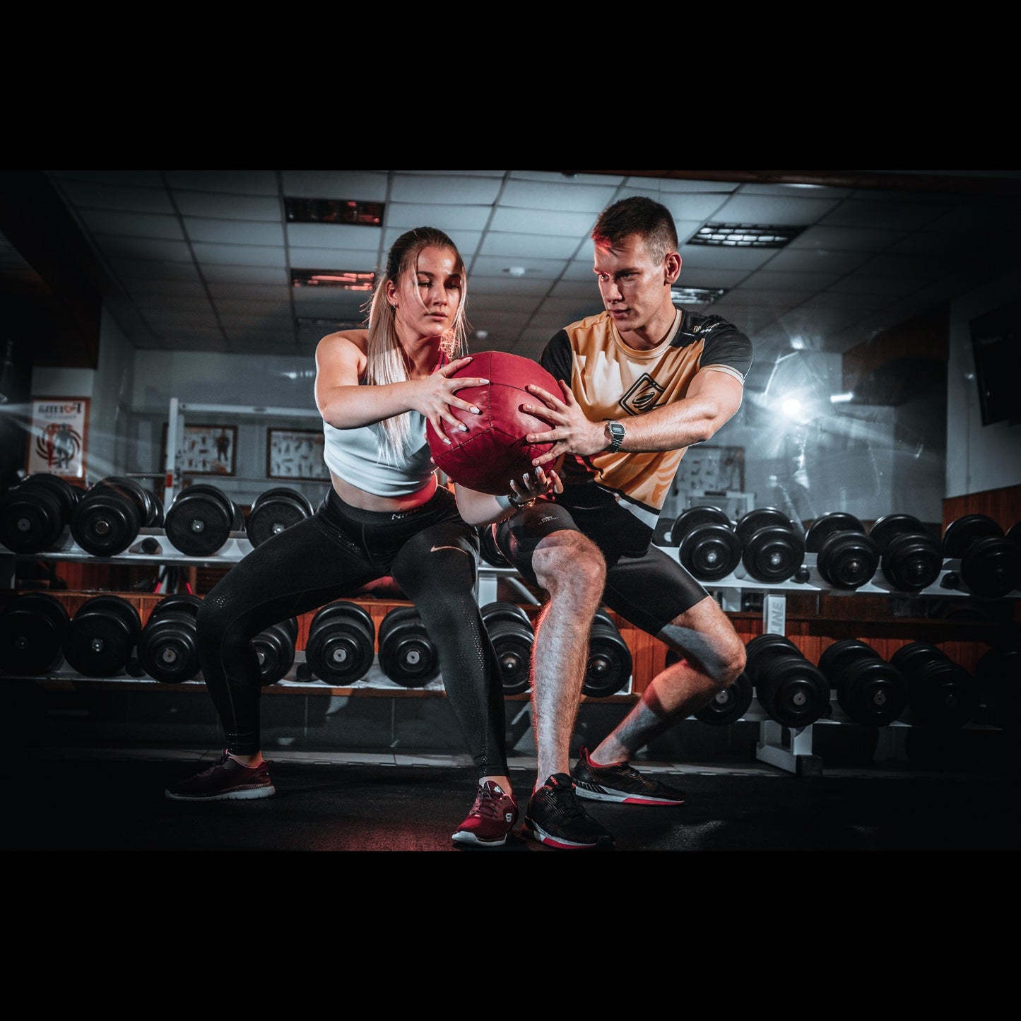 2000+ Gym & Fitness Reels: Social Media Content (Digital Download)