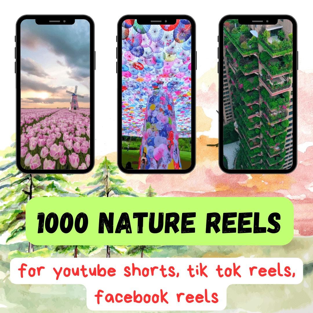 1000+ Nature Reels Bundle | Relaxing Scenery, Waterfalls, Forests, Beaches, Mountains, Wildlife Video Pack
