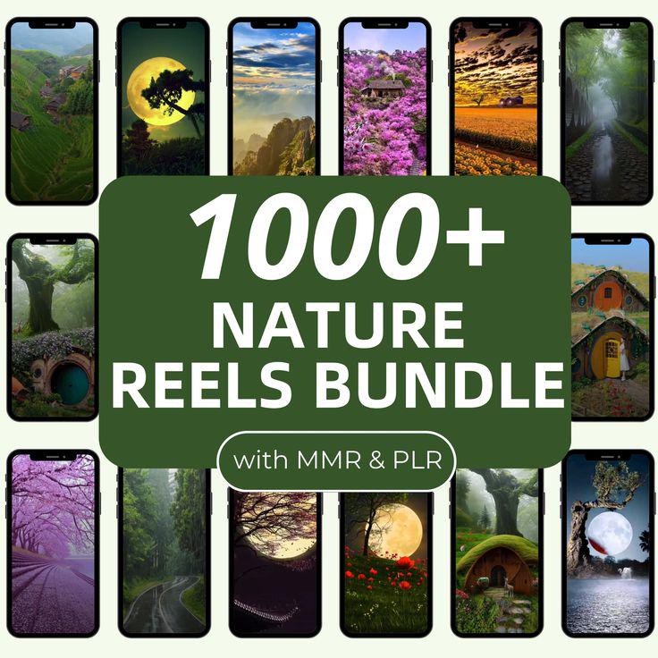 1000+ Nature Reels Bundle | Relaxing Scenery, Waterfalls, Forests, Beaches, Mountains, Wildlife Video Pack