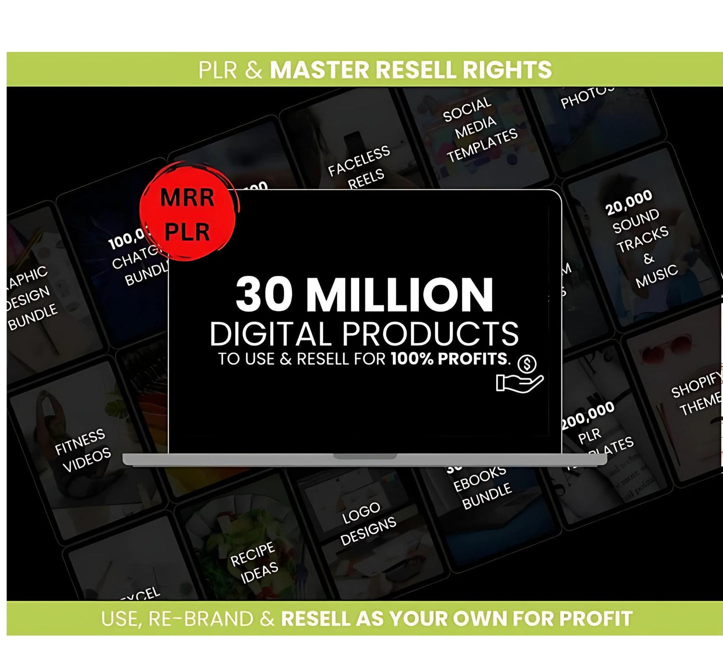 30 Million Digital Products MRR PLR digital download for Passive income PDF