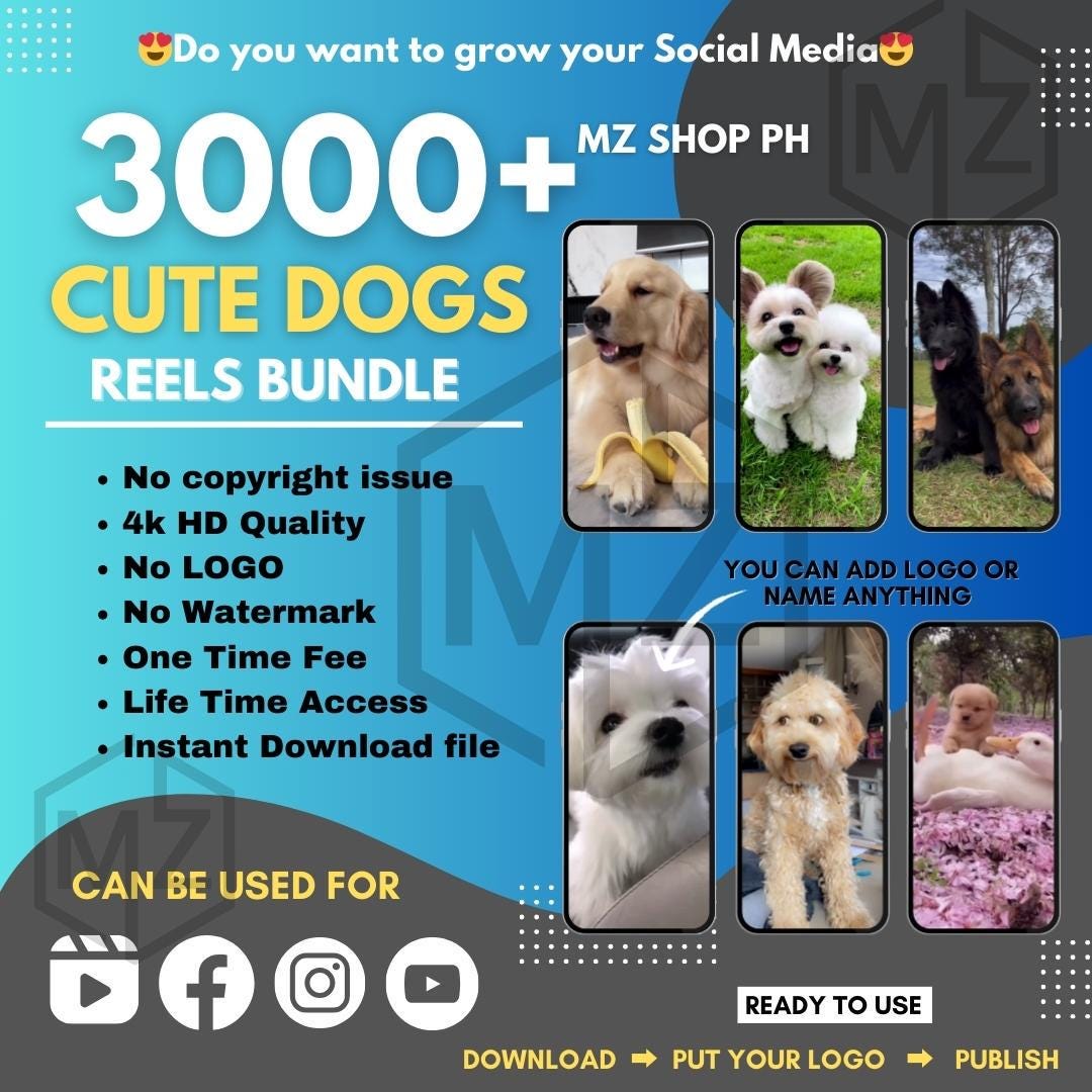 Viral Reels Bundle: Social Media Content, Business, Travel, Gym (Instant Download)